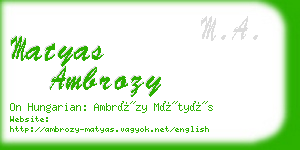 matyas ambrozy business card